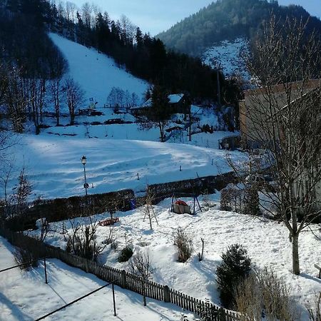Ferienwohnung Elsa Immenstadt im Allgäu Екстериор снимка