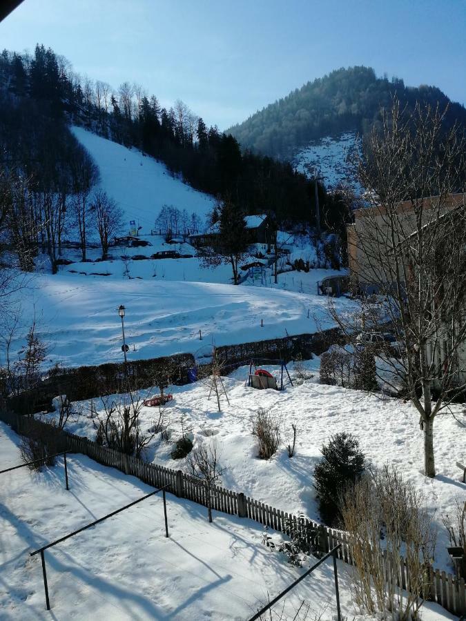 Ferienwohnung Elsa Immenstadt im Allgäu Екстериор снимка